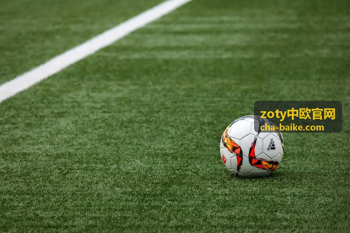 zoty中欧官网内的行业资料封面参考图