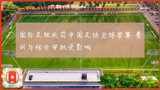 国际足联处罚中国足协全球禁赛 青训与转会审批受影响