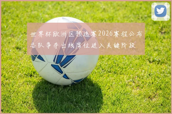 世界杯欧洲区预选赛2026赛程公布各队争夺出线席位进入关键阶段