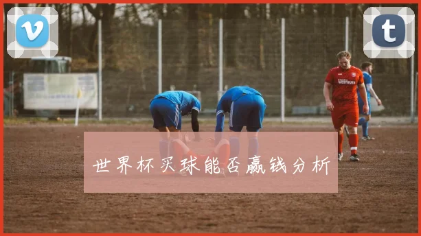 世界杯买球能否赢钱分析