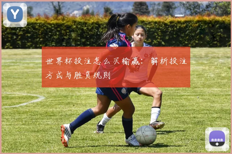 世界杯投注怎么买输赢：解析投注方式与胜负规则
