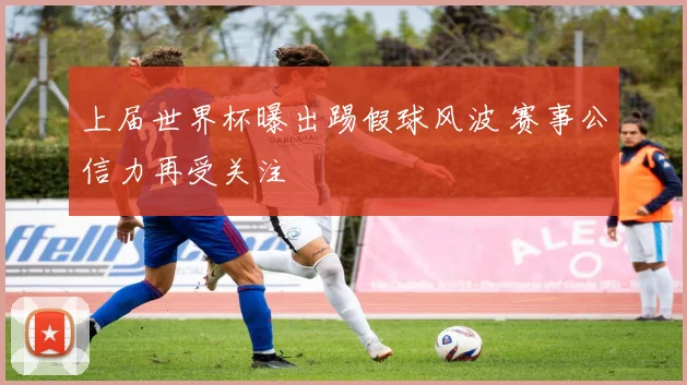 上届世界杯曝出踢假球风波 赛事公信力再受关注