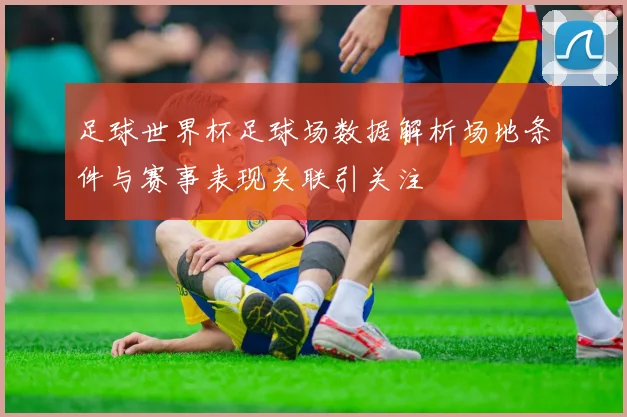 足球世界杯足球场数据解析场地条件与赛事表现关联引关注