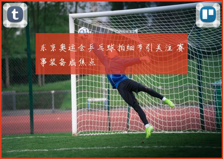 东京奥运会乒乓球拍细节引关注 赛事装备成焦点