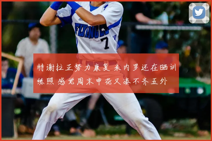 特谢拉正努力康复 米内罗还在晒训练照 感觉周末申花又凑不齐五外