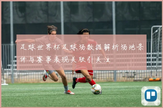 足球世界杯足球场数据解析场地条件与赛事表现关联引关注