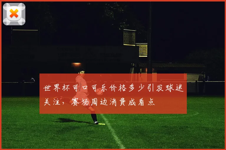 世界杯可口可乐价格多少引发球迷关注，赛场周边消费成看点
