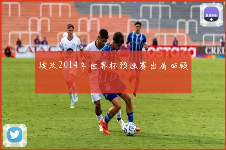 埃及2014年世界杯预选赛出局回顾