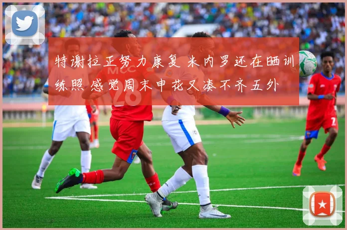 特谢拉正努力康复 米内罗还在晒训练照 感觉周末申花又凑不齐五外