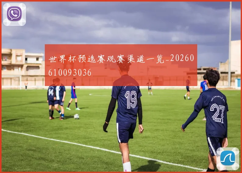 世界杯预选赛观赛渠道一览_20260610093036