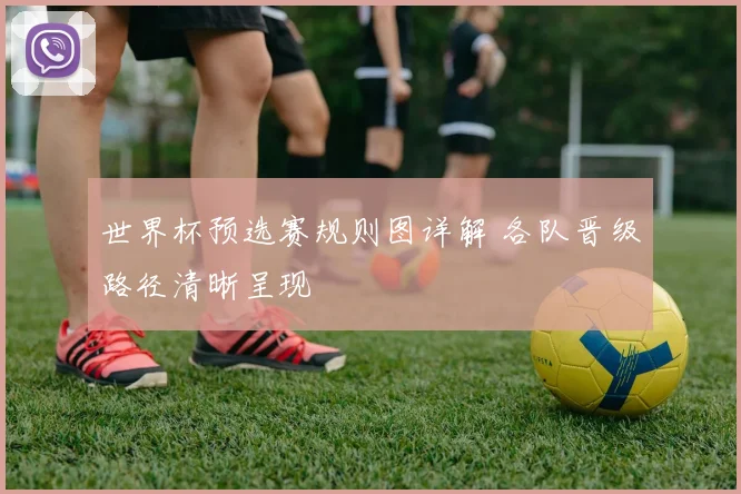 世界杯预选赛规则图详解 各队晋级路径清晰呈现
