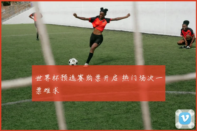 世界杯预选赛购票开启 热门场次一票难求