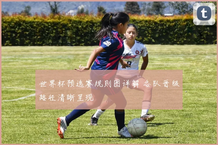 世界杯预选赛规则图详解 各队晋级路径清晰呈现