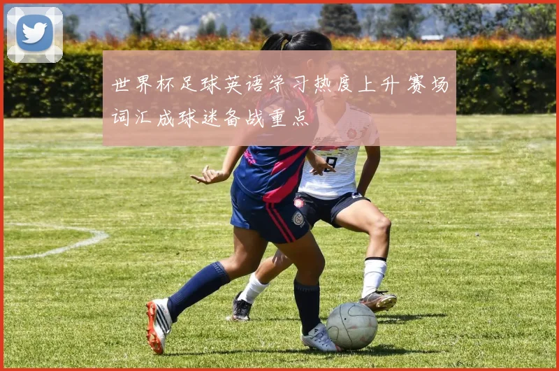 世界杯足球英语学习热度上升 赛场词汇成球迷备战重点